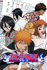 Bleach (2004)
